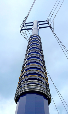 Custom Art Pole Tower by Western Utility Telecom